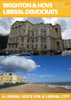 Image courtesy of Duncan Moore B&H Lib Dem Manifesto 2019 cover