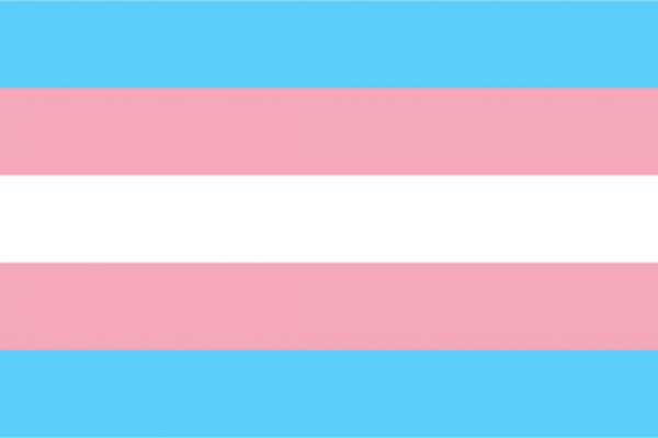 Transgender Flag