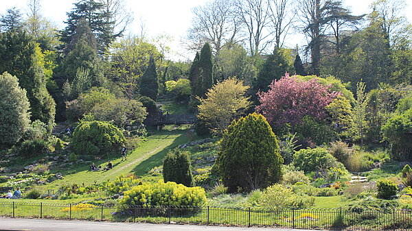 Preston Park Ward